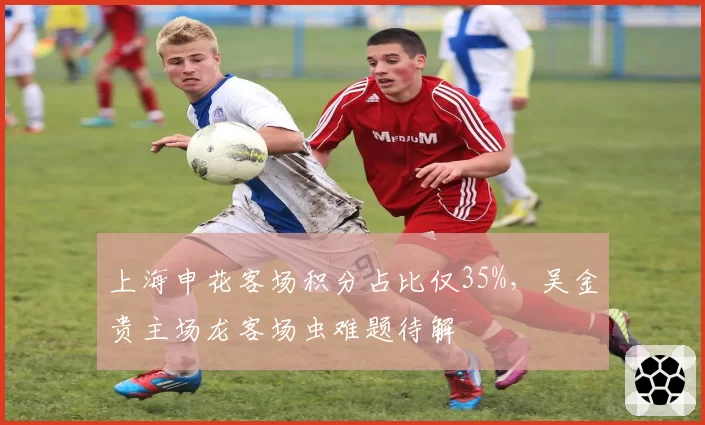 上海申花客场积分占比仅35%，吴金贵主场龙客场虫难题待解