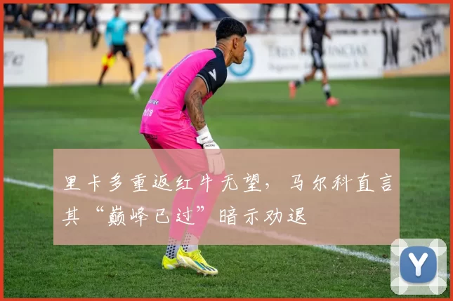 里卡多重返红牛无望,马尔科直言其“巅峰已过”暗示劝退