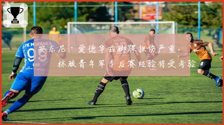 安东尼·爱德华兹脚踝扭伤严重，森林狼青年军季后赛经验将受考验？