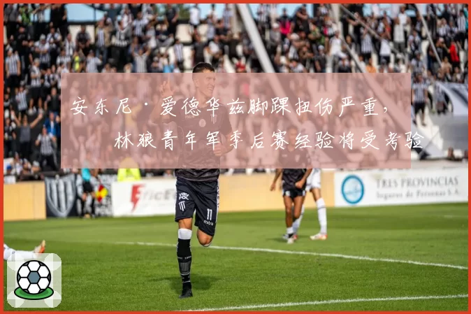 安东尼·爱德华兹脚踝扭伤严重，森林狼青年军季后赛经验将受考验？