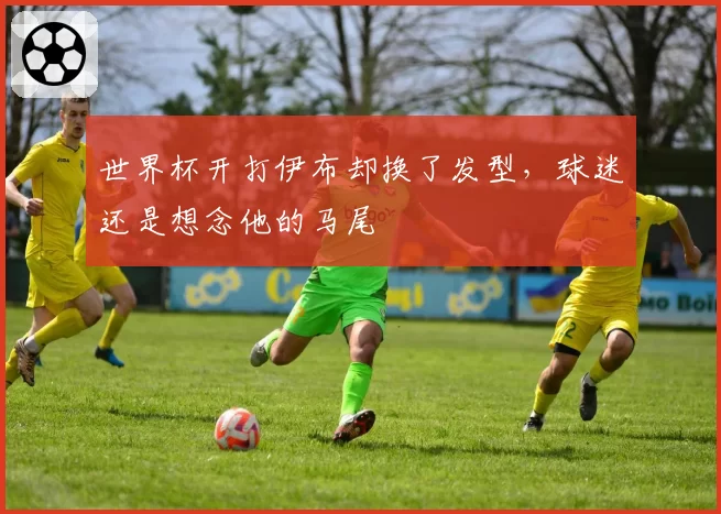 世界杯开打伊布却换了发型,球迷还是想念他的马尾