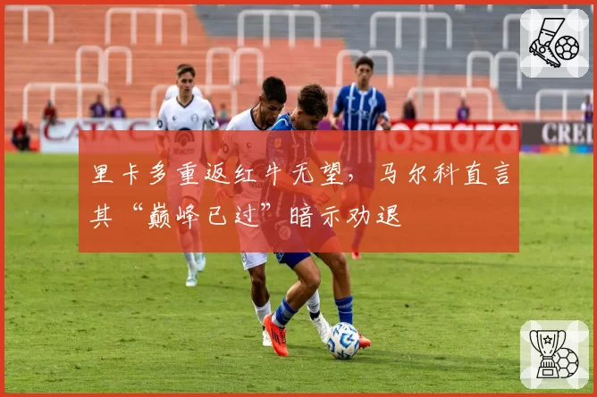 里卡多重返红牛无望,马尔科直言其“巅峰已过”暗示劝退