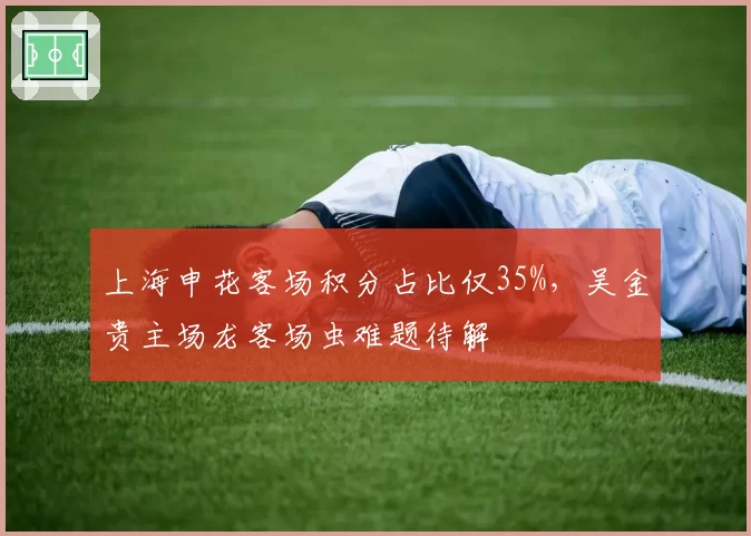 上海申花客场积分占比仅35%，吴金贵主场龙客场虫难题待解