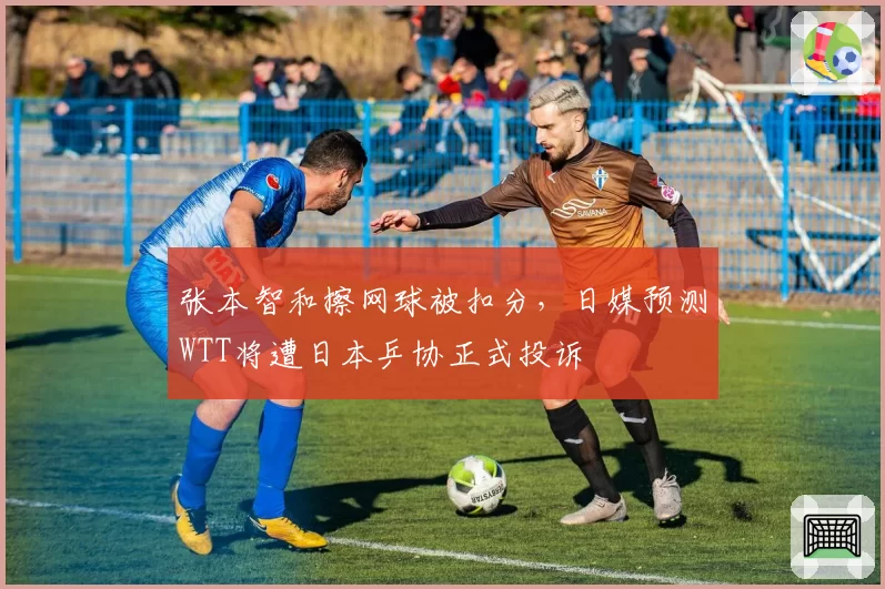张本智和擦网球被扣分，日媒预测WTT将遭日本乒协正式投诉